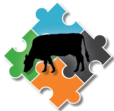Cow Over Puzzle Pieces2