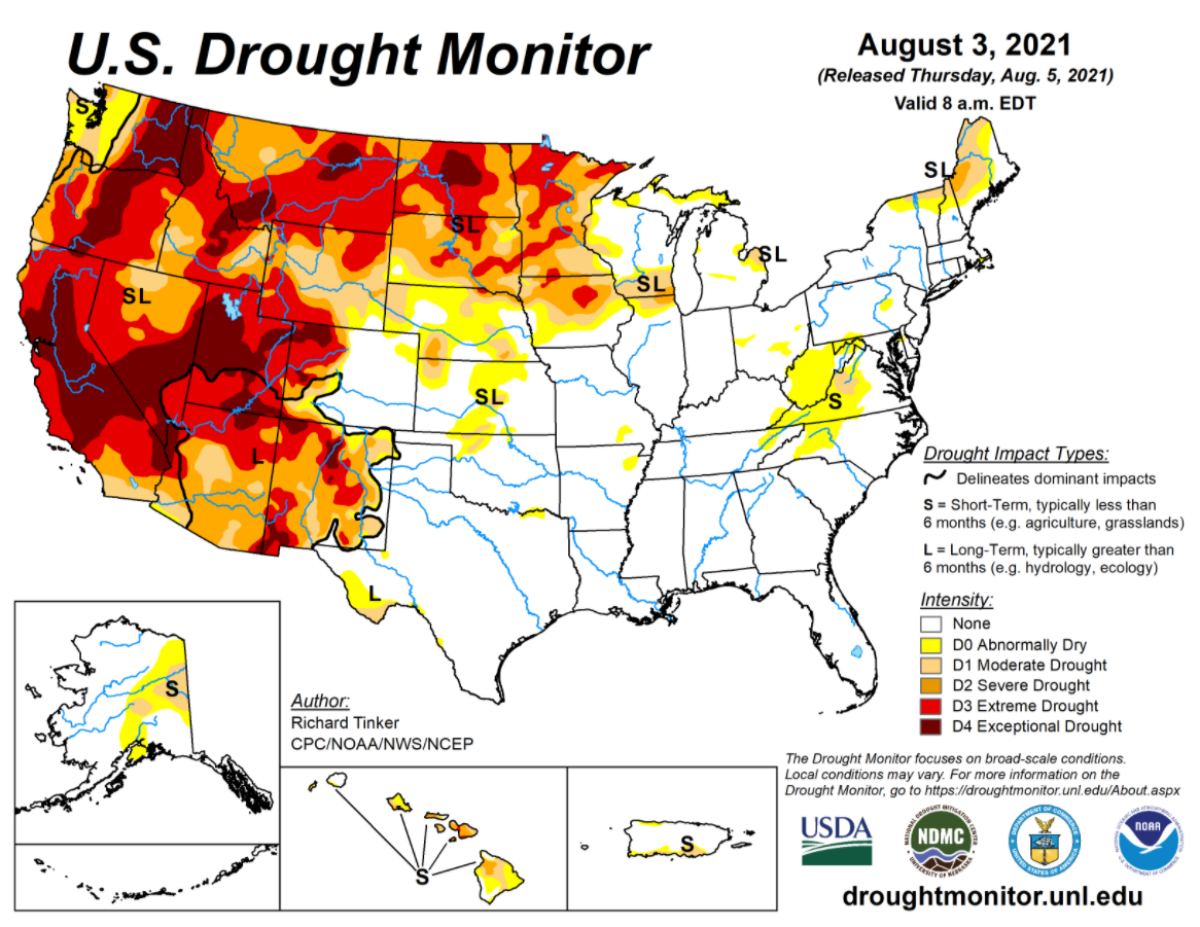 AFBF August5 Drougrough地图