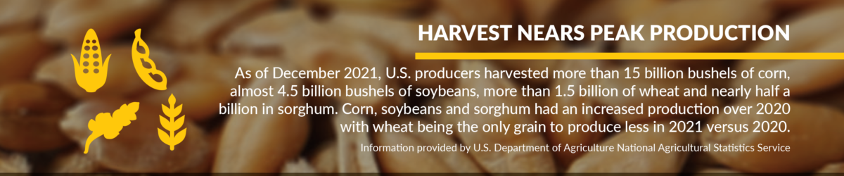 Infographic total grain production