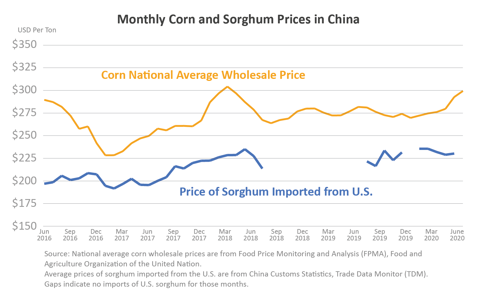 sorghum4